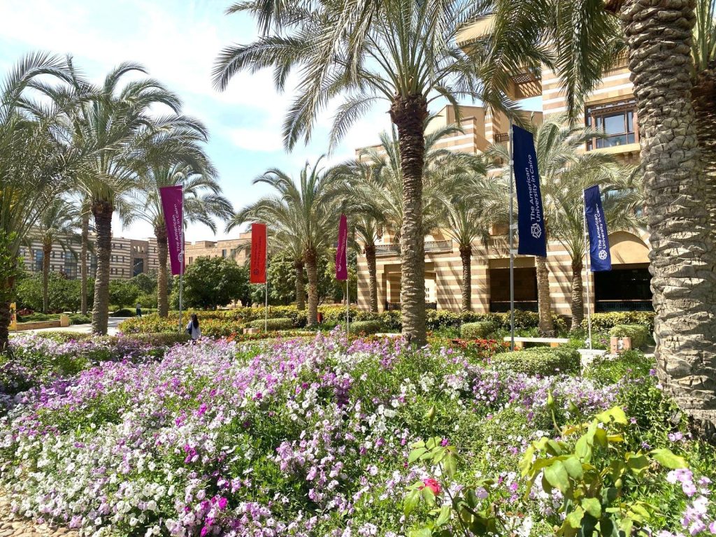 Auc Tahrir, Cairo